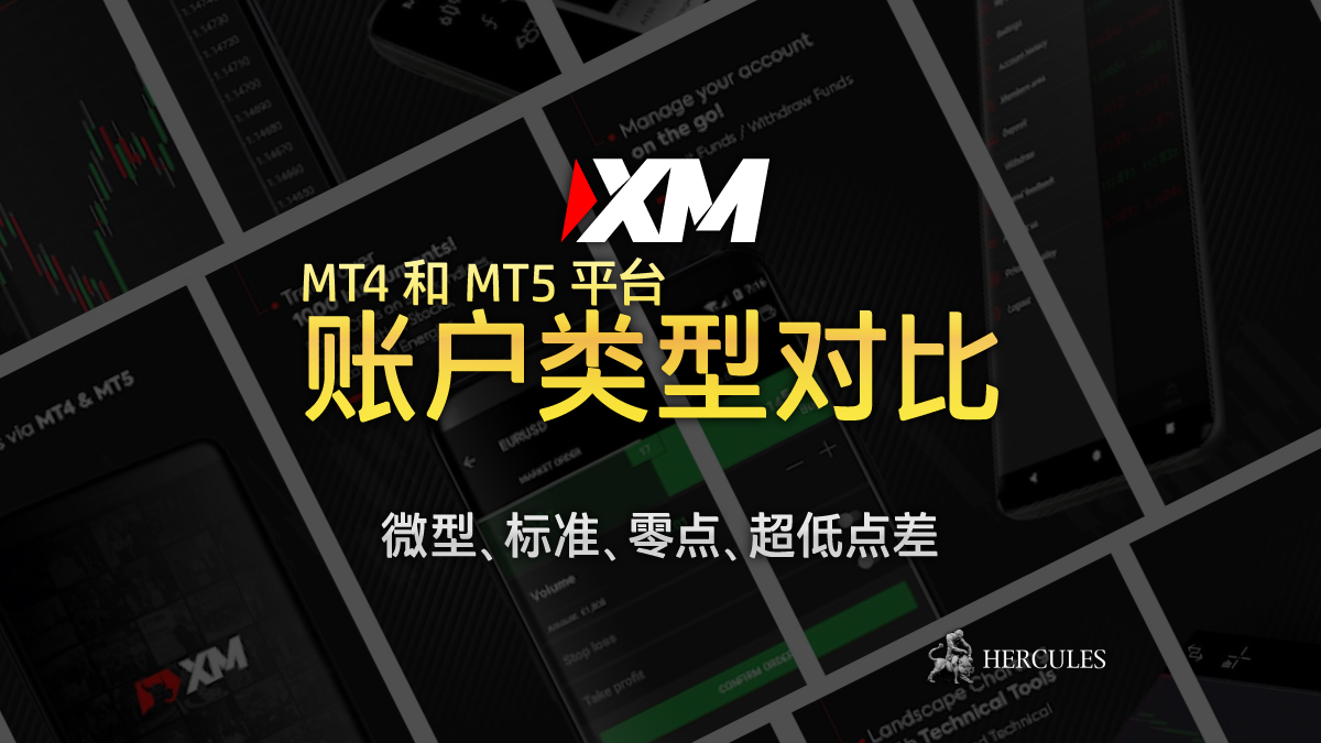 XM - XM 外汇账户类型对比 - 微型、标准、XM 零点、超低点差