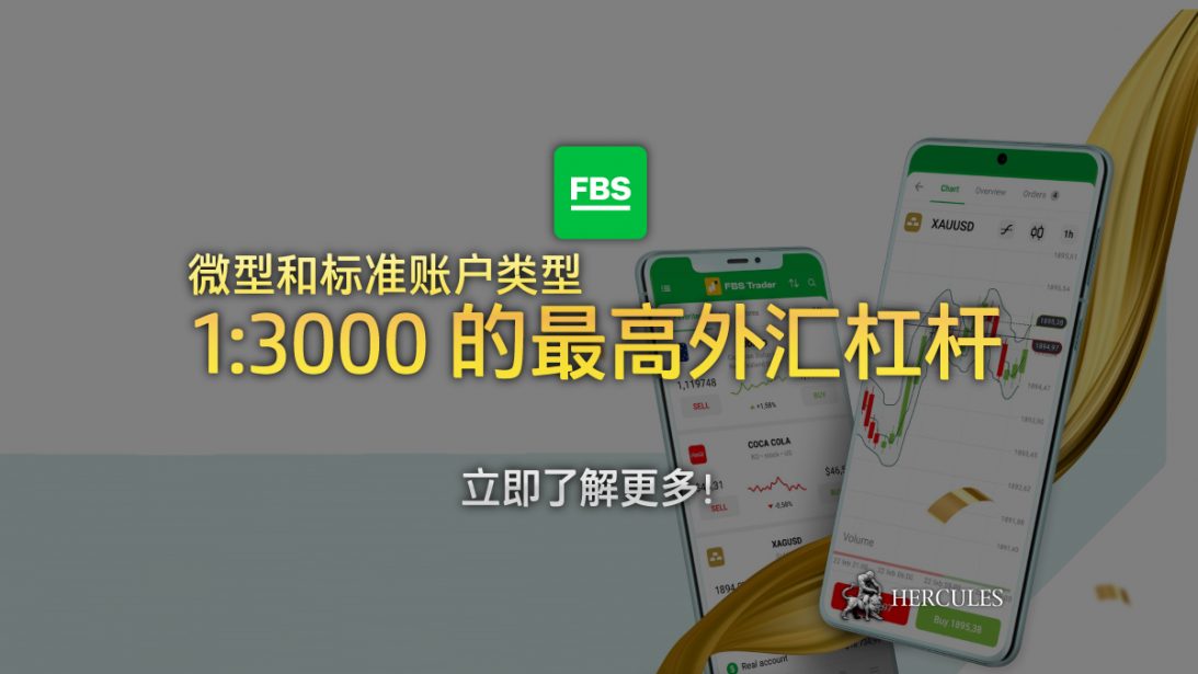 FBS 微型和标准账户类型的 1:3000 最高外汇杠杆