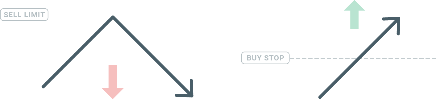 How many pending orders are in Exness MT4