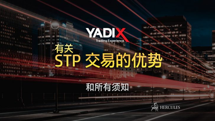 所有线上外汇交易者对有关 STP 交易优势情况的所有须知