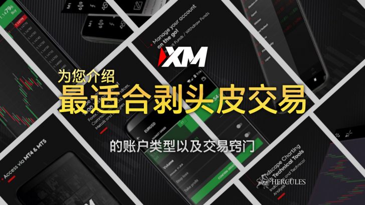 XM 的哪种账户类型最适合剥头皮外汇交易