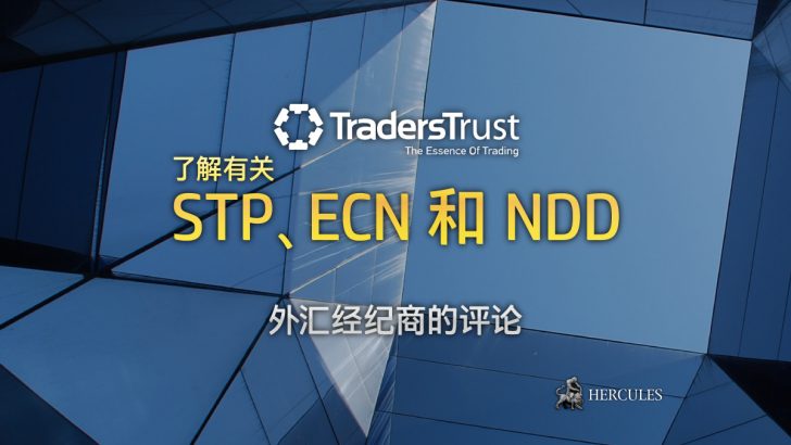 TTCM Traders Trust 服务评论 - STP、ECN 和 NDD 外汇经纪商