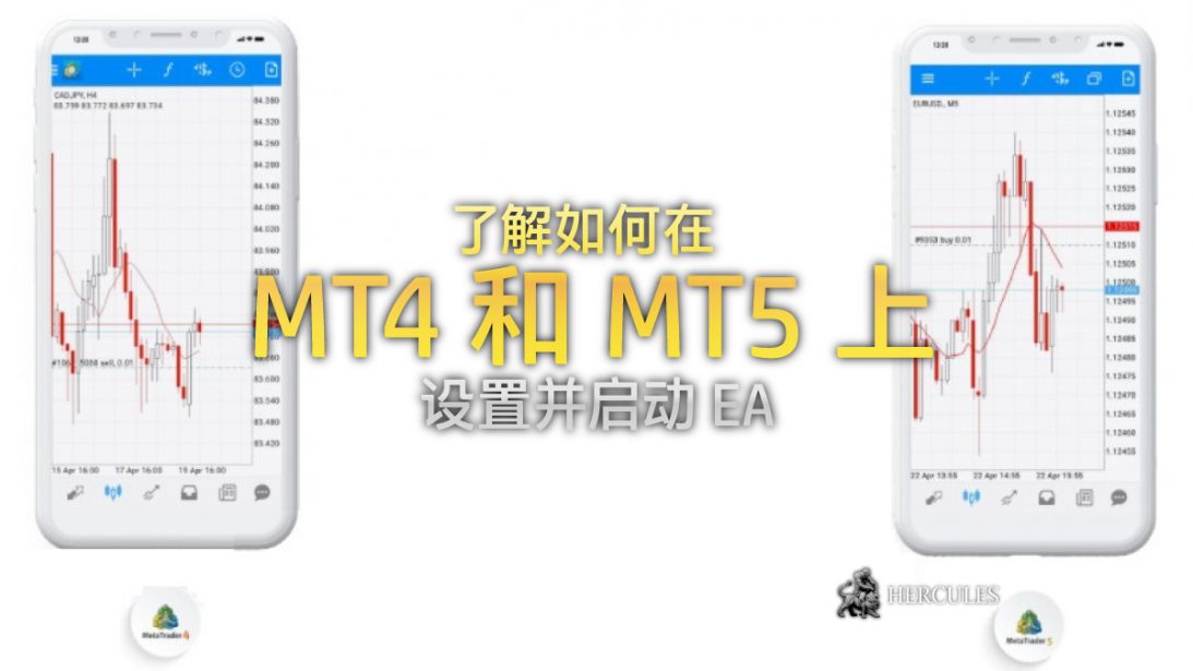 如何在 MT4 MT5 上设置并启动 EA (交易机器人)