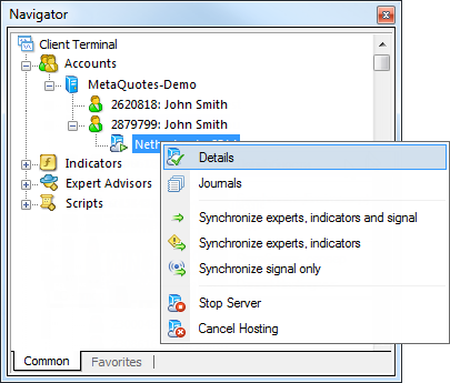 Working with the Virtual Terminal mt4 mt5