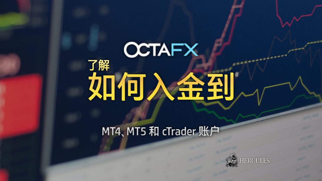 如何入金到 OctaFX MT4、MT5 或 cTrader 账户