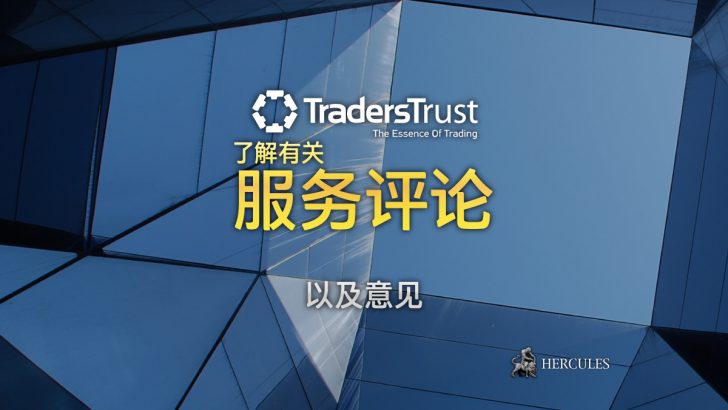 对 Traders Trust (Traders Trust Capital Markets Limited) 的评论和意见