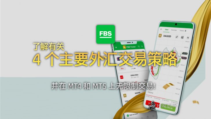 对外汇交易策略没有限制 - FBS MT4 和 MT5