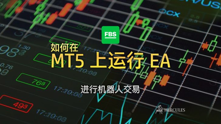 如何在 FBS MT5 上运行 EA (交易机器人)