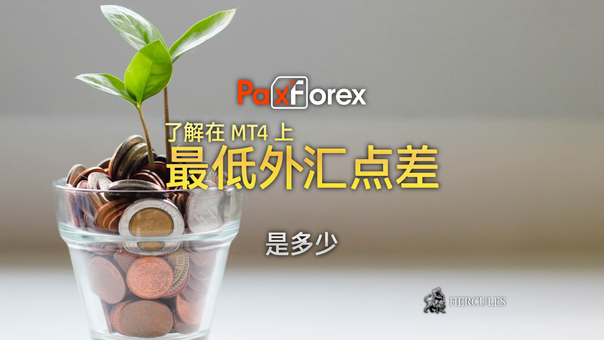 PaxForex - PaxForex MT4 上的外汇和差价合约点差 - Cent、Mini、Standard 和 VIP 账户类型