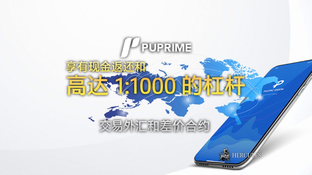 PUPrime 现在提供一些外汇和差价合约产品 1:1000 的杠杆