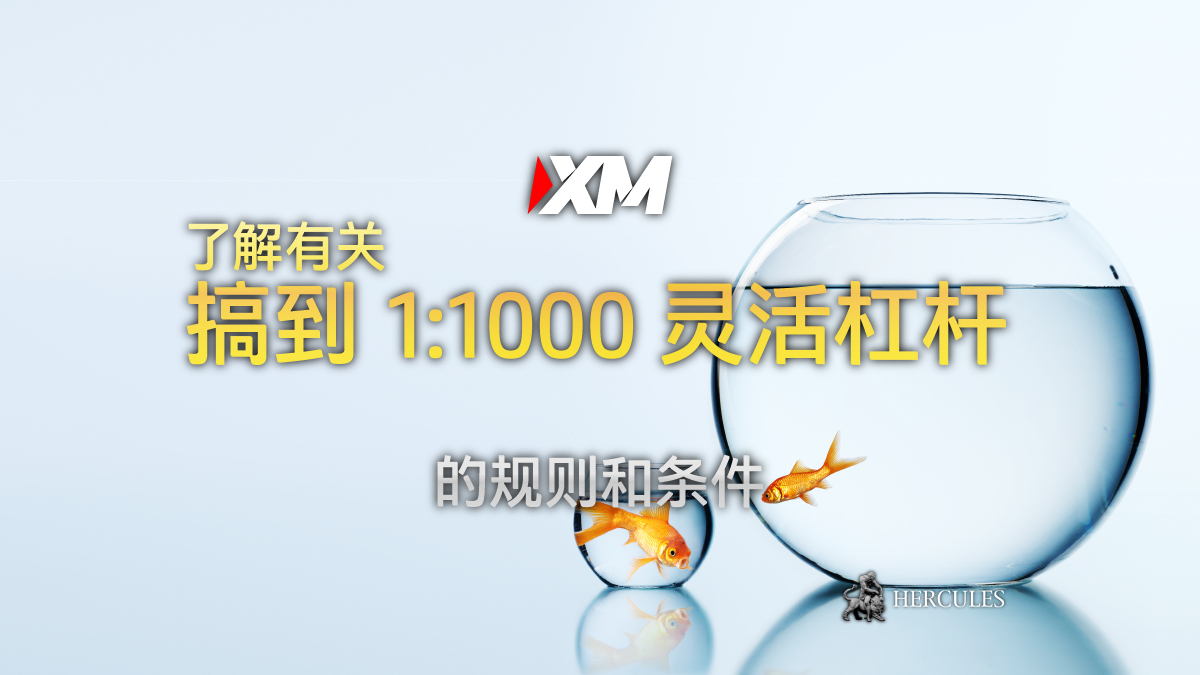 XM - XM 杠杆的规则和条件 (保证金交易)