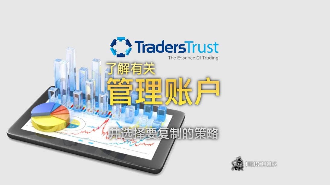 选择要复制的策略 - Traders Trust 管理账户