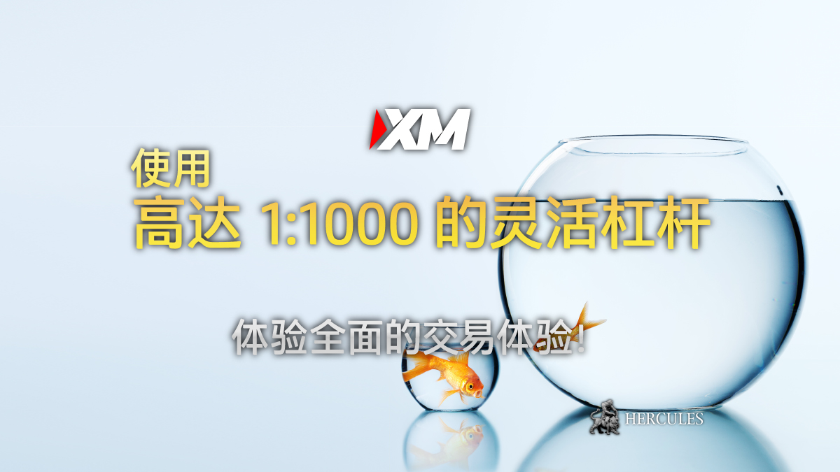 XM - 它如何运作？XM 提供外汇交易 1:1000 的杠杆。