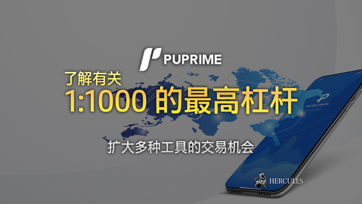 PU Prime - 规则和条件 - PUPrime 提供 Standard、Prime、伊斯兰和美分账户 1:1000 的杠杆