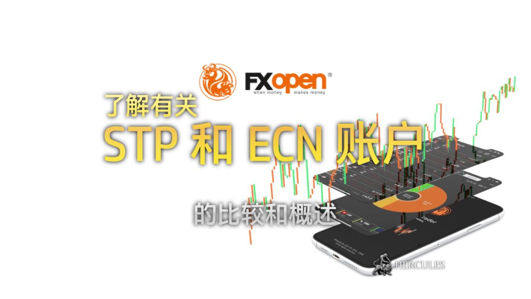 哪个更佳 FXOpen 的 STP 和 ECN 账户概览