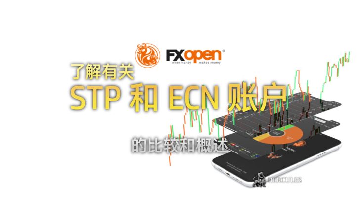 哪个更佳 FXOpen 的 STP 和 ECN 账户概览