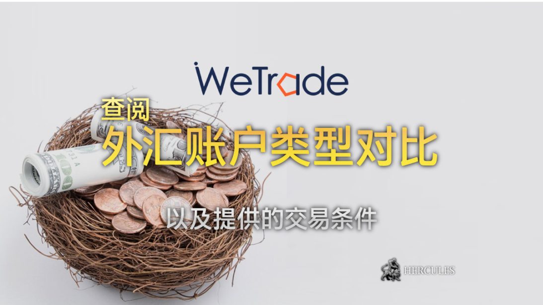 WeTrade众汇 外汇账户类型对比