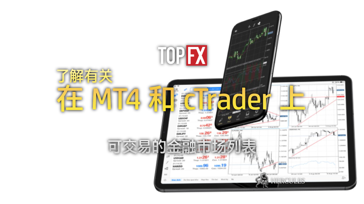 TopFX - 您可以在 TopFX MT4 和 cTrader 上交易的金融市场列表