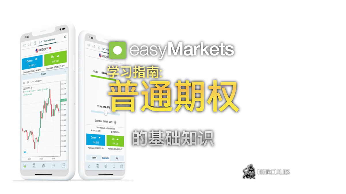 学习指南 - 与 easyMarkets (易信) 交易普通期权